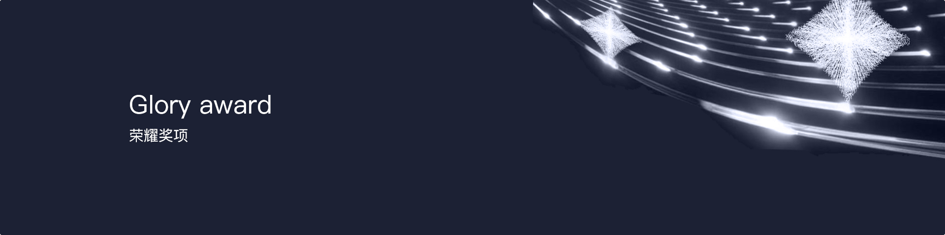 榮耀獎項(xiàng)
