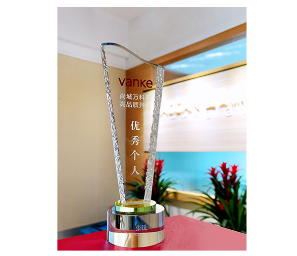 尚城萬科里優(yōu)秀獎(jiǎng)-獎(jiǎng)杯